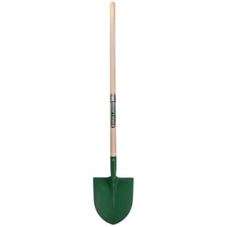 Pelle ronde 29cm manche hêtre 110cm.