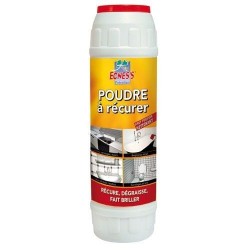 Ecness poudre récurer bichlorée 1kg