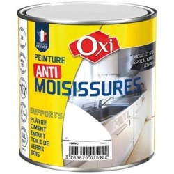 Antimoisissure 0.5l blanc