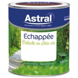 Echappée satin 0.5L brindille