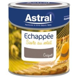 Echappée satin 0.5L criquet