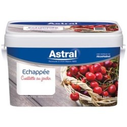 Echappée satin 2L cerise