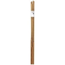 Tuteur bambou ép. 6/8mm long. 60cm lot de 6 pièces