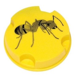 Antifourmis boîte 10g