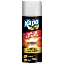 Cafards / blattes aérosol 400ml Kapo Choc