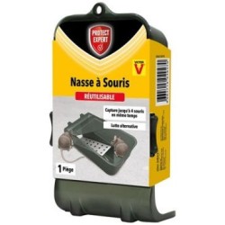 Piège nasse 4 souris /nc