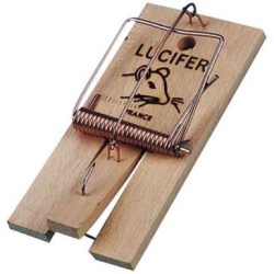 Tapette à rats sur blister