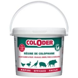 Saniterpen coloder résine de colophane 3.5kg