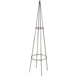 Tuteur-tipi classique 20x100cm fer vieilli