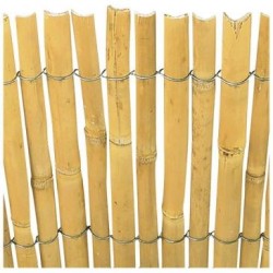 Canisse roseau fil galv.1.5m x5m