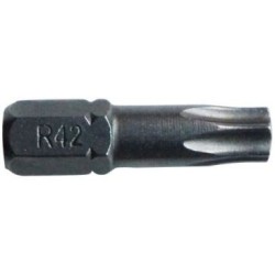Embout torx T25 l.25mm forgé  blister de 3
