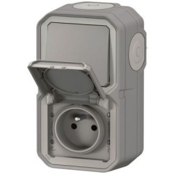 Plexo interrupteur et prise 2p+t vertical gris