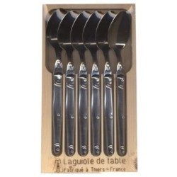 Coffret de 6 cuillères Laguiole inox