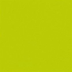 Serviette ouate 33x33cm 3 plis x20 kiwi