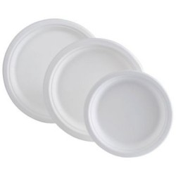 Assiette ronde bagasse 23 cm x50