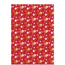 Sachet cadeau étoile 12x20cm