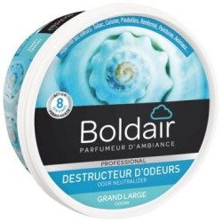 Destructeur d'odeurs bloc gel 300g océan