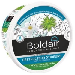 Destructeur d'odeurs bloc gel 300g thé vert