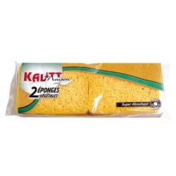 Eponge végétale n°4 x2