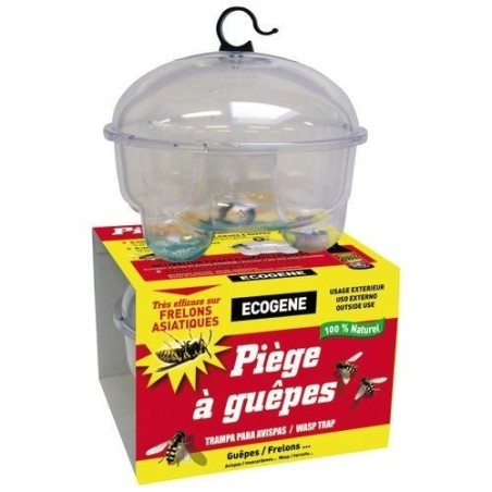 Piège à guêpes