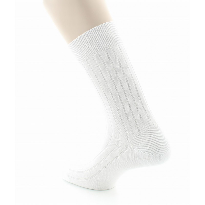Chaussettes à côtes derby - Pur coton fil d'écosse