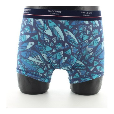 Boxer Poissons bleus