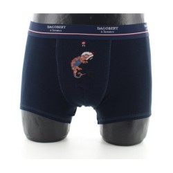 Boxer Caméléon