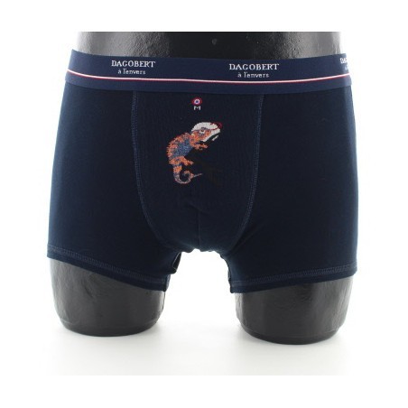 Boxer Caméléon