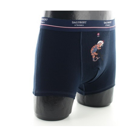 Boxer Caméléon
