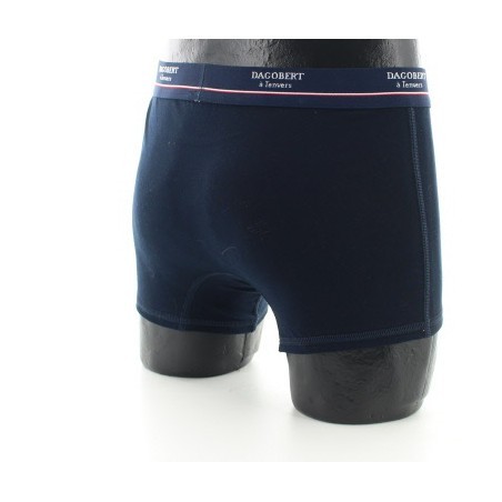 Boxer Caméléon