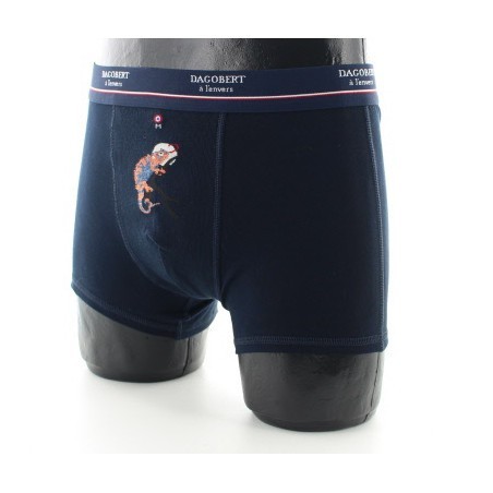 Boxer Caméléon