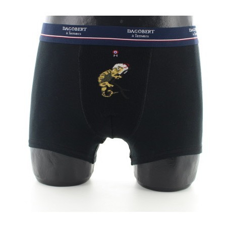 Boxer Caméléon