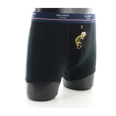 Boxer Caméléon