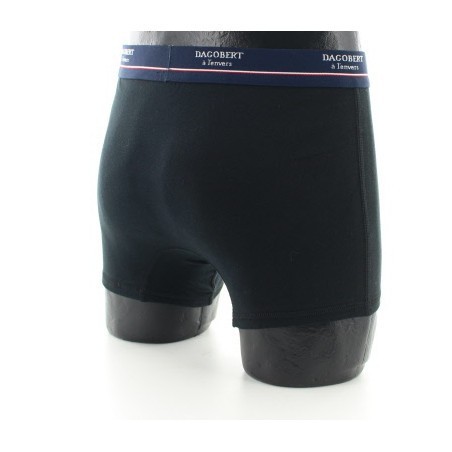 Boxer Caméléon