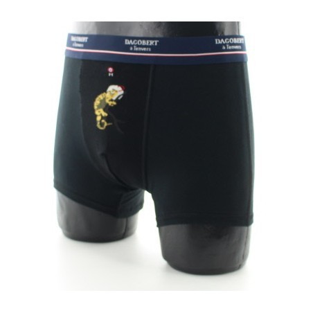 Boxer Caméléon