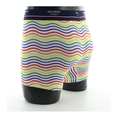 Boxer vagues multicolores