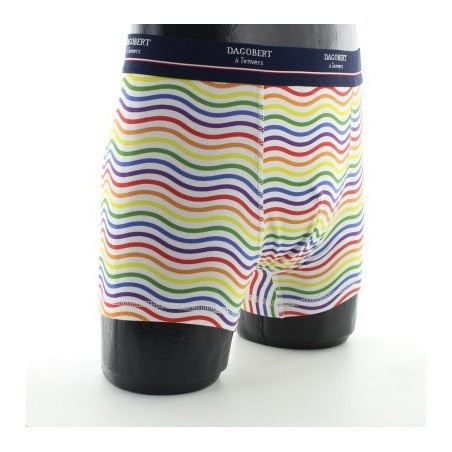 Boxer vagues multicolores