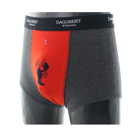 Boxer original Homard