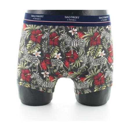 Boxer Zèbre