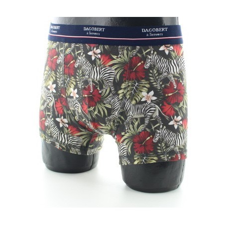 Boxer Zèbre