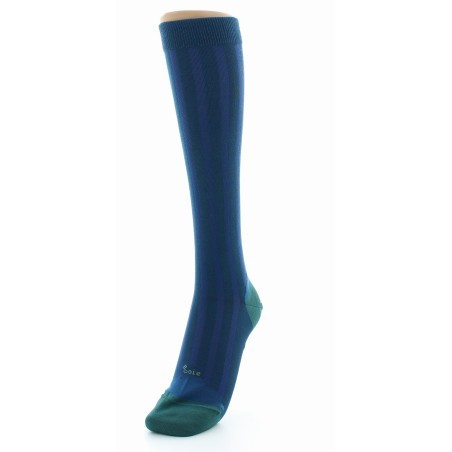 Chaussettes Hautes en Soie