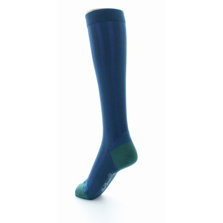 Chaussettes Hautes en Soie