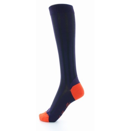 Chaussettes Hautes en Soie