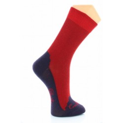 Chaussettes cachemire