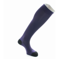 Chaussettes Hautes en Soie