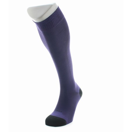 Chaussettes Hautes en Soie