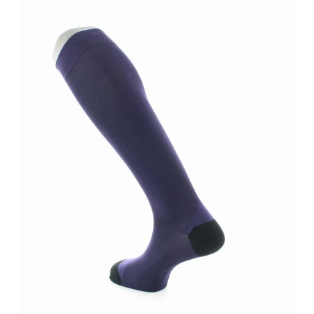 Chaussettes Hautes en Soie