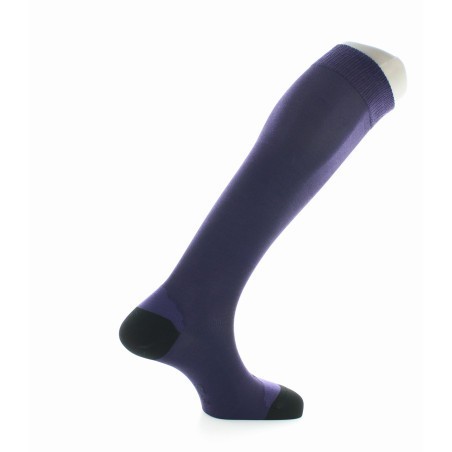 Chaussettes Hautes en Soie