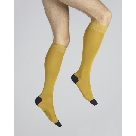 Chaussettes Hautes en Soie