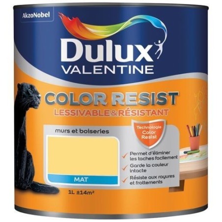 Color resist mur bois mat 1L jaune chrome